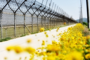 문수산 품고 조강물길의  빼어난 트레킹코스 김포 평화누리길