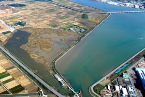 광양 세풍일반산업단지 1단계 부지 준공