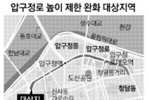 압구정 로데오 ‘5층 높이 제한’ 완화 추진