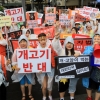 서울 도심서 개고기 반대 행진…“개고기는 국제적 망신”