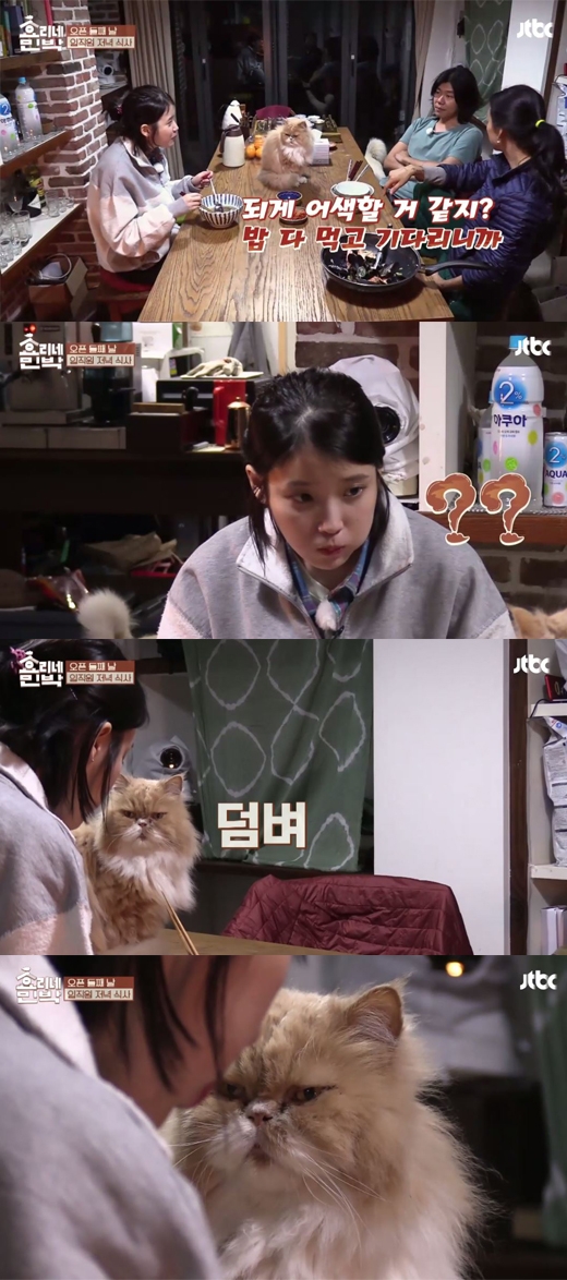 효리네 민박 아이유