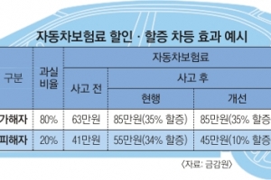 車사고 피해자 보험료 할증폭탄 9월부터 줄어든다