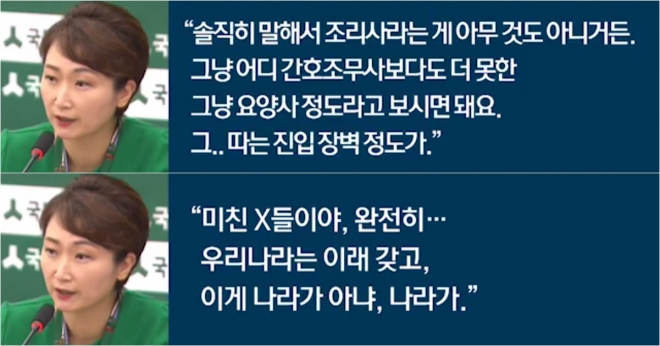 이언주 발언 막말 논란