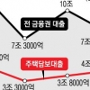 “규제 전 막차 타자” 6월 주택대출 껑충