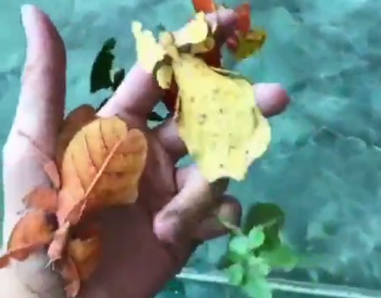 Game station youtube