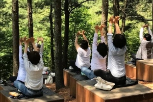 안양시 “관악수목원에서 힐링하세요”