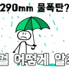 [카드뉴스] ‘290mm 물폭탄’ 그걸 어떻게 알죠?