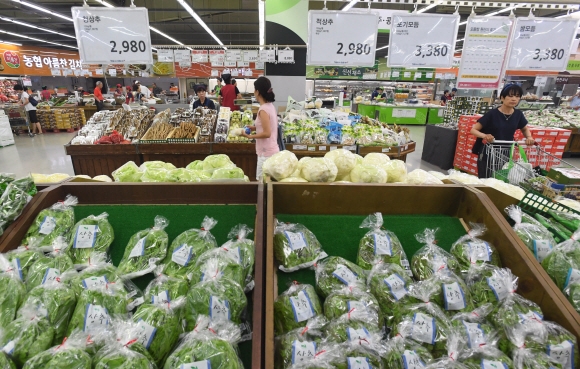 폭우 영향으로 일부 농산물 가격이 오름세를 이어가고 있다. 농협하나로클럽 양재점. 2017.7.18 최해국 선임기자seaworld@seoul.co.kr