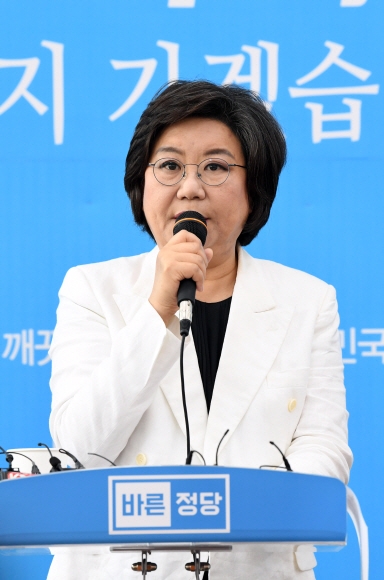 이혜훈 대표 바른정당 대표