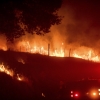 美 서부 산불 확산…인근 주민 5000여명 대피령