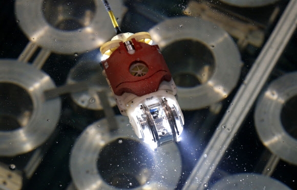 2011년 동일본대지진으로 방사성물질 유출 사고를 겪은 후쿠시마 제1원전 원자로의 격납용기 내부 모습을 처음으로 촬영해 온 수영 로봇 ‘리틀 선피시’. 후쿠시마 AP 특약