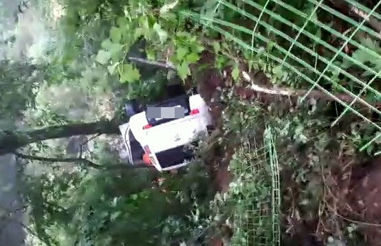나무에 걸친 차량