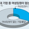 500대 기업 67% 女임원 ‘제로’…여전히 깨지지 않는 ‘유리천장’