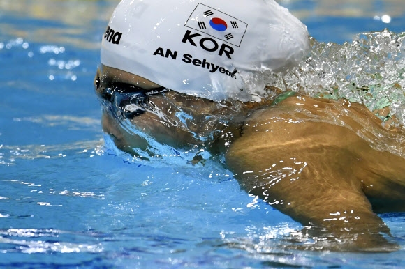안세현, 세계선수권 접영 200m 8위로 결승행