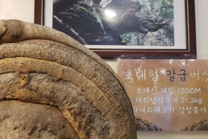 ‘희귀 임산물 절도’ 고작 10만원 과태료