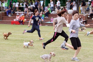 “우리 개가 달라졌어요” 부천시의 ‘반려동물 문화교실’