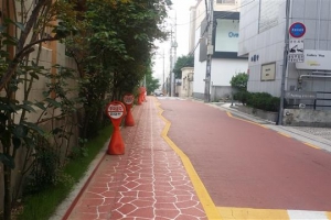 강남 보행안전 ‘든든’