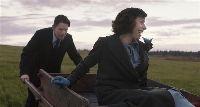 20만명 돌파… 애절한 이선 호크 ‘내 사랑’