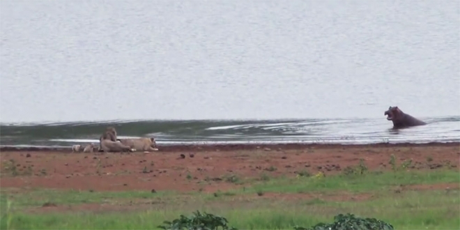 유튜브 영상 캡처