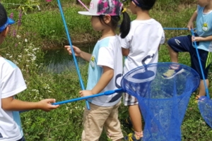 성남 어린이들 “잠자리.매미 잡으며 자연을 배워요”