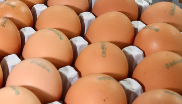 ‘08’이 새겨진 경기도 계란