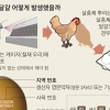 [살충제 달걀 파문] 달걀 프라이 등 익혀도 성분 남아… “치킨용 닭엔 살충제 안 써”