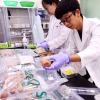 ‘살충제 계란’ 속 피프로닐…“쥐 실험서 파킨슨병 유발 가능성”