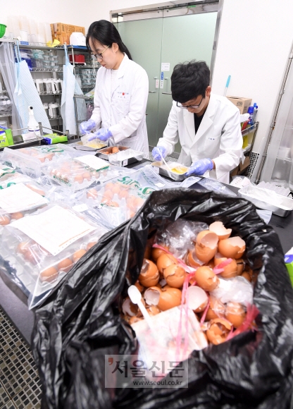 16일 경기도 안양시 국립농산물품질관리원 경기지원 분석실에서 연구원들이 각 양계농가에서 수집한 계란에 대한 살충제성분 검사를 하고 있다.  정연호 기자 tpgod@seoul.co.kr