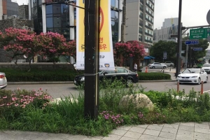 꽃 구경하며 ‘예술의전당~서초역’ 걸어 볼까… 서초, 보행 사업 완료