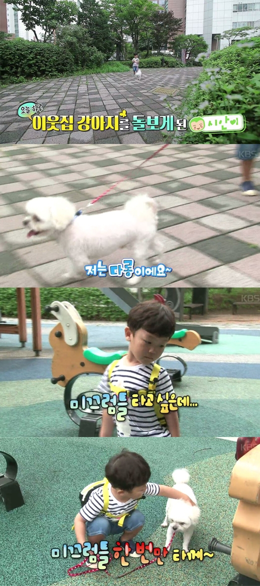 슈퍼맨이 돌아왔다 대박이