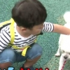 ‘슈퍼맨이 돌아왔다’ 대박이, 강아지 홀로 두고 미끄럼틀행? ‘무슨 일’