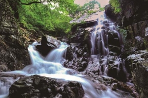 ‘6년째 표류’ 서울대 학술림 무상 양도 ‘돌파구’