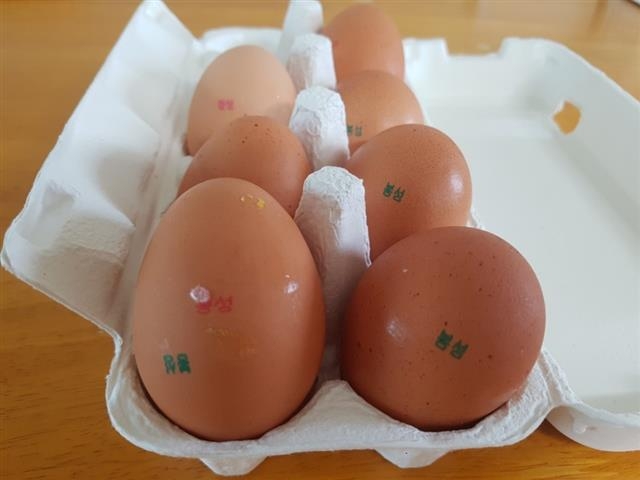 김모씨가 서울 대형마트에서 구입한 달걀의 껍데기에는 의무 표시 사항인 생산지역 번호 없이 출처를 알 수 없는 ‘봉성’이라는 글자만 찍혀 있다. 세종 오달란 기자 dallan@seoul.co.kr