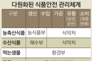 [긴급진단-살충제 달걀 파동] 또 드러난 부처 불통·책임 전가… “현실적인 컨트롤타워 절실”