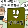 [경제 알지 못해도 쉬워요] 종신보험처럼 사망보험금 지급…보장기간 선택한다는 점 달라요