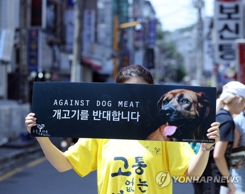 동물보호단체 “시중유통 개고기서 항생제…식용견 사육 막아야” [연합뉴스 자료사진]