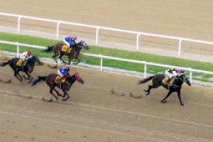 4조대 사설경마도박 총괄사장 등 일당 18명 검거