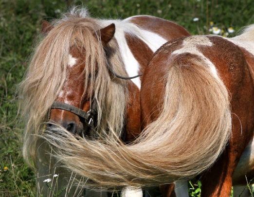 [포토] 앞뒤가 똑같아요~