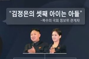 “리설주 셋째 출산…아들로 확인”