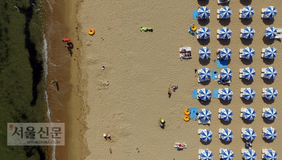 여름의 끝에서…