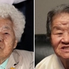 위안부 피해 두 옥선 할머니 3일 kt 홈서 시구·시타 행사