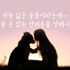 [카드뉴스] 가족 잃은 슬픔이라는데…세울 곳 없는 반려동물 장례시설