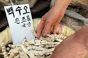 ‘가짜 백수오’ 소비자들, 집단 손해배상 소송 패소…법원 “회사, 민사상 책임없다”