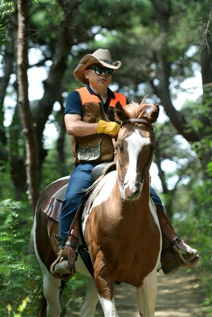 경북 영천시 야사동 삼밭골 승마목장(대표 정재훈)에서 사육하고 있는 ‘아메리칸 쿼터호스’. 영천시 제공