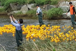 판교 운중처서 4회 행복한 나눔오리 경주대회