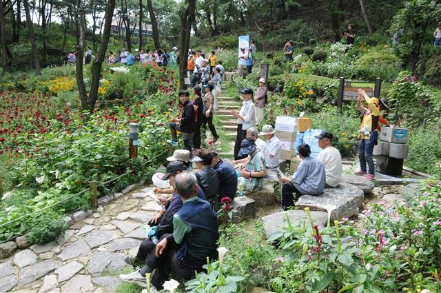 서울 강북구 번동에 있는 오동근린공원에서 주민들이 야생화를 벗 삼아 휴식을 취하고 있다. 강북구 제공