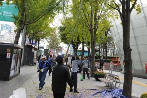 “올해엔 악취나는 은행나무 없어요”