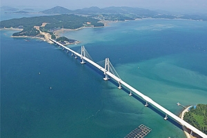 [현장 플러스] 완도 장보고대교 개통 맞춰 마라톤 대회