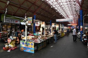 돼지가 중구에 빠진 날… 바비큐 맛 좀 볼까