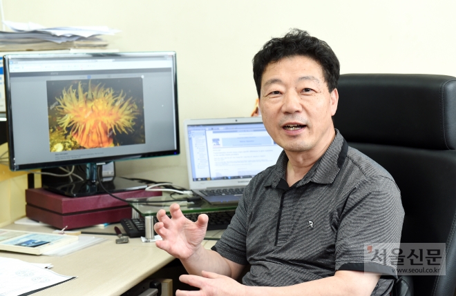 박남규 부경대 교수가 연구실에서 말미잘 관련 연구 성과를 설명하고 있다. 부경대 제공